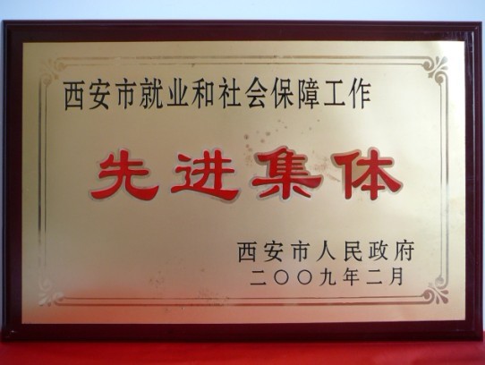 2009年2月，被西安市当驹炖为西安市就业和社会保险工作先进集体